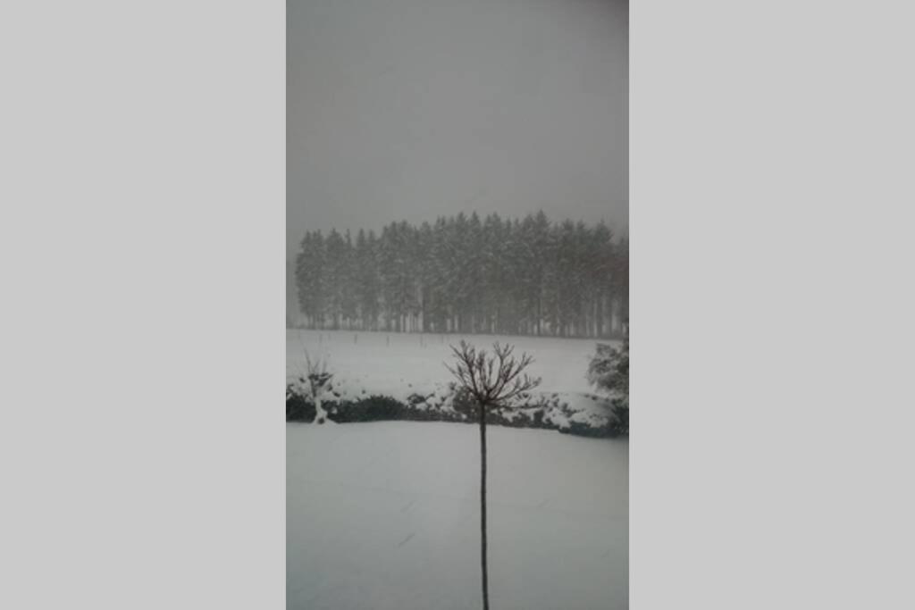 Ruhe Oase Mit Tollem Fernblick Inmitten Der Apartment *